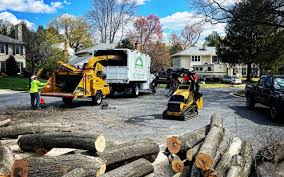 Best Landscape Design and Installation  in Williamstown, NJ