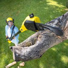 Best Utility Line Clearance  in Williamstown, NJ
